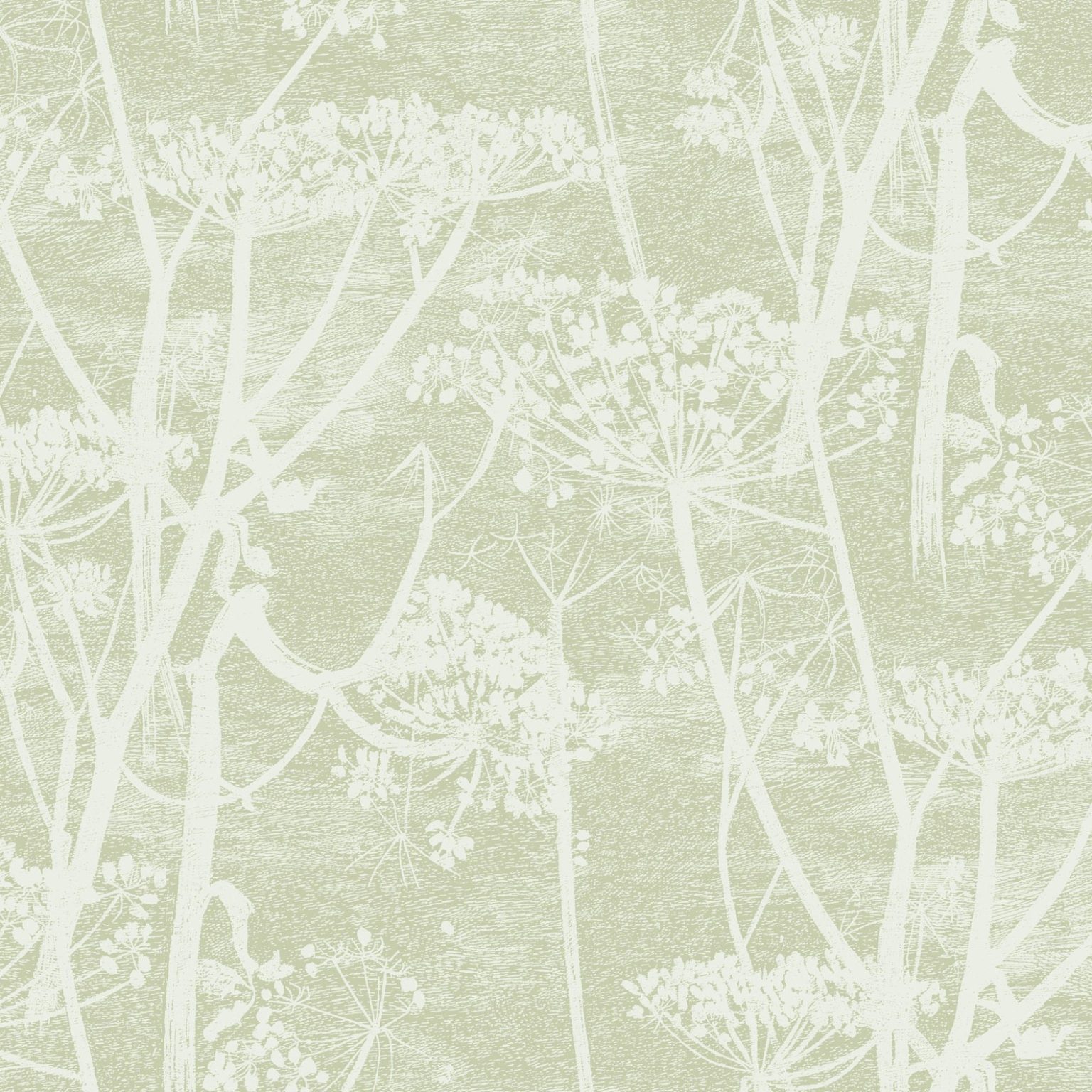 COW PARSLEY 112/8029 TAPETA COLE&SON