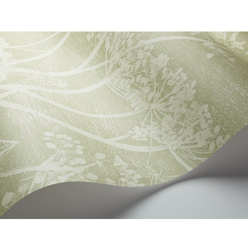 COW PARSLEY 112/8029 TAPETA COLE&SON