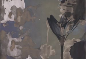 DELILAH WDDE2001