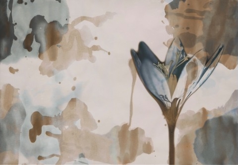 DELILAH WDDE2002