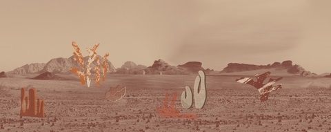 DESERT BOTANICA WDDB2001