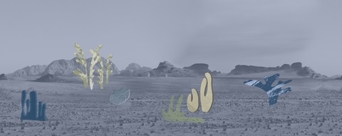 DESERT BOTANICA WDDB2002