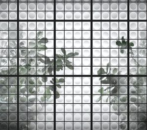WDDJ1902