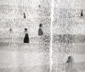 ELEVATOR WDEL2001
