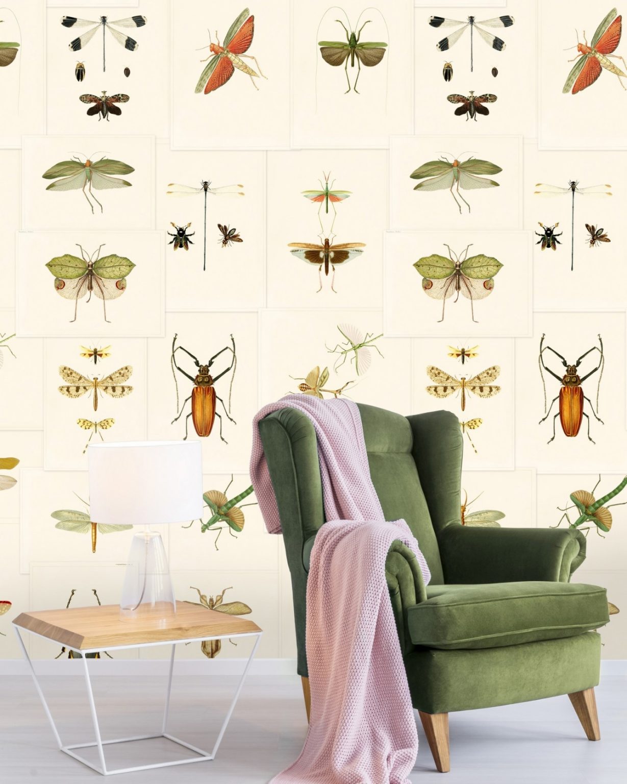 ENTOMOLOGY TAPETA MIND THE GA