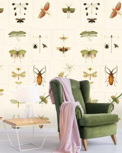 ENTOMOLOGY TAPETA MIND THE GA