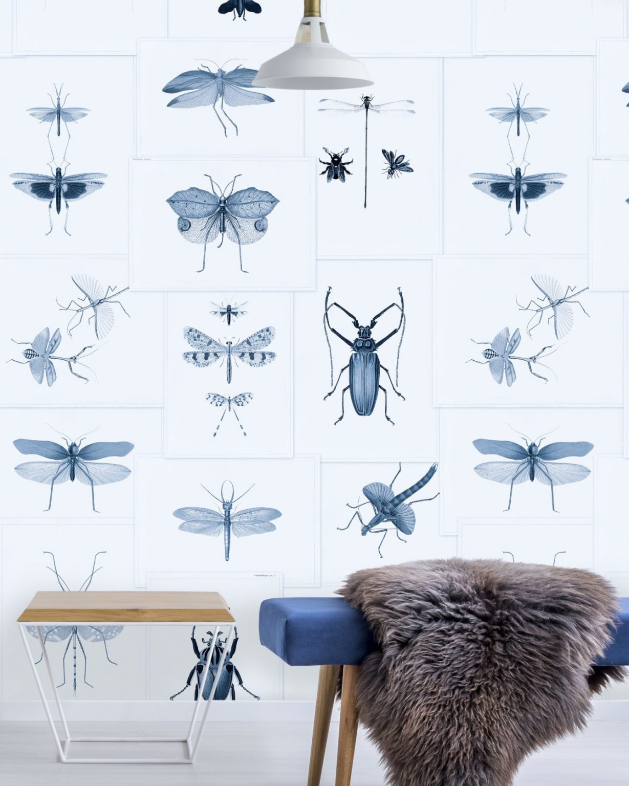 ENTOMOLOGY TAPETA MIND THE GA