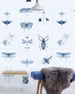 ENTOMOLOGY TAPETA MIND THE GA