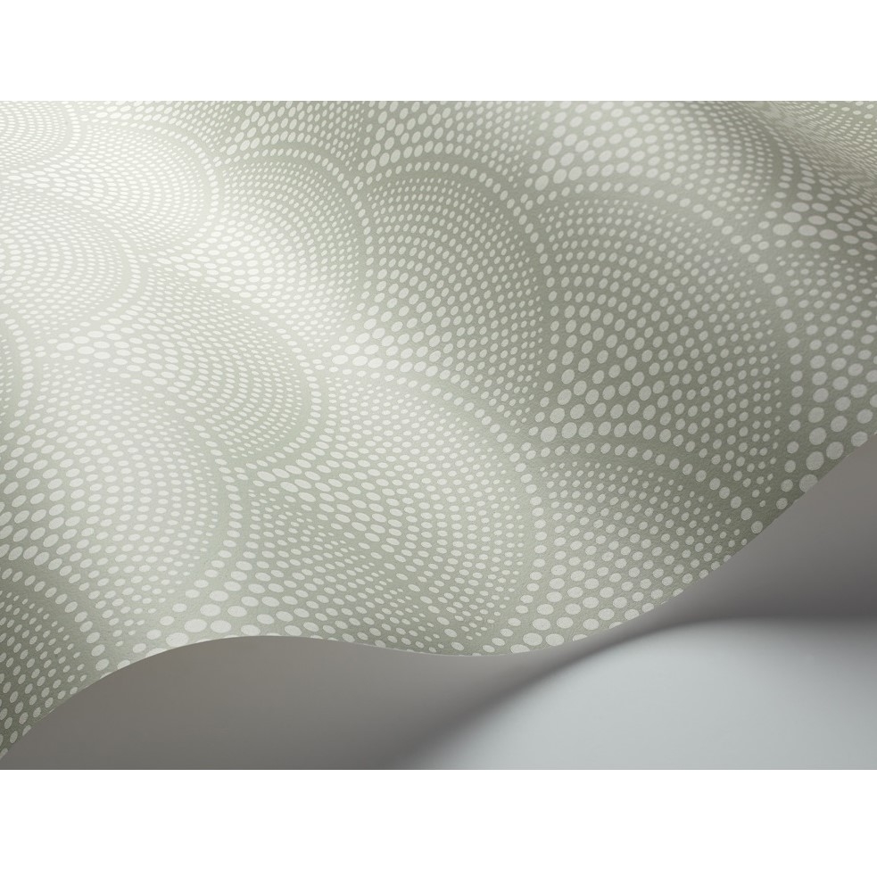 FEATHER FAN 112/10037 TAPETA COLE&SON