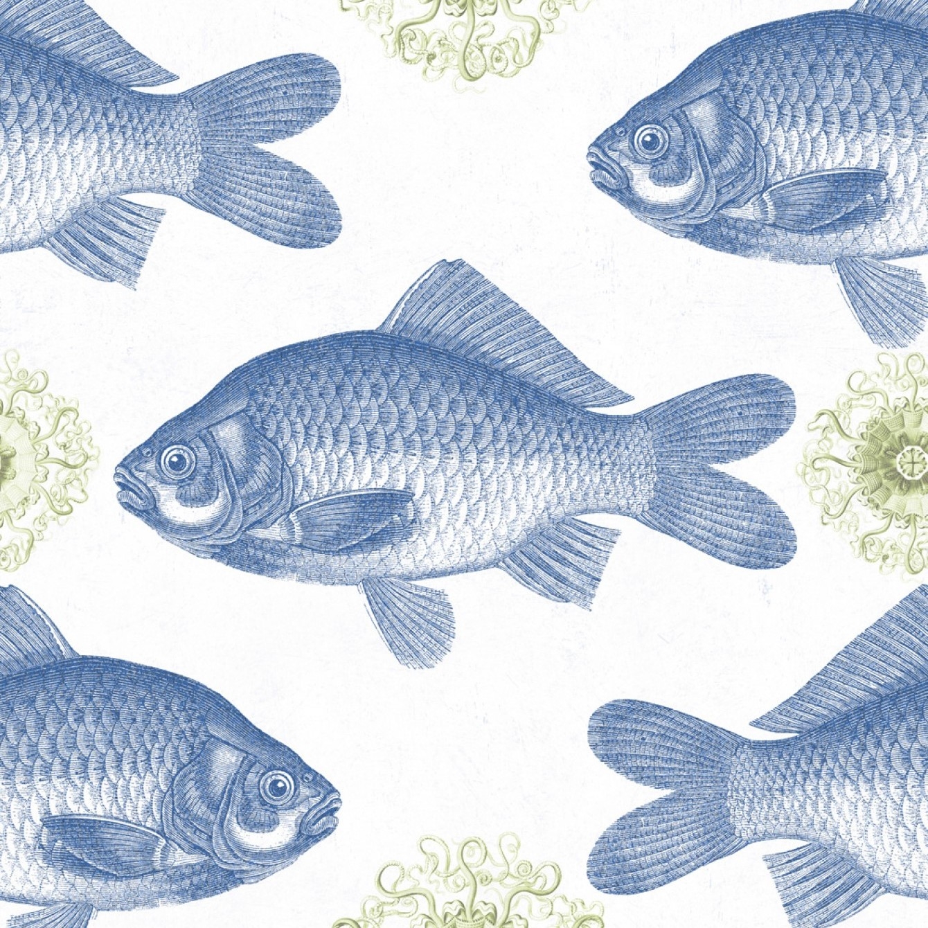 FISH TAPETA MIND THE GAP