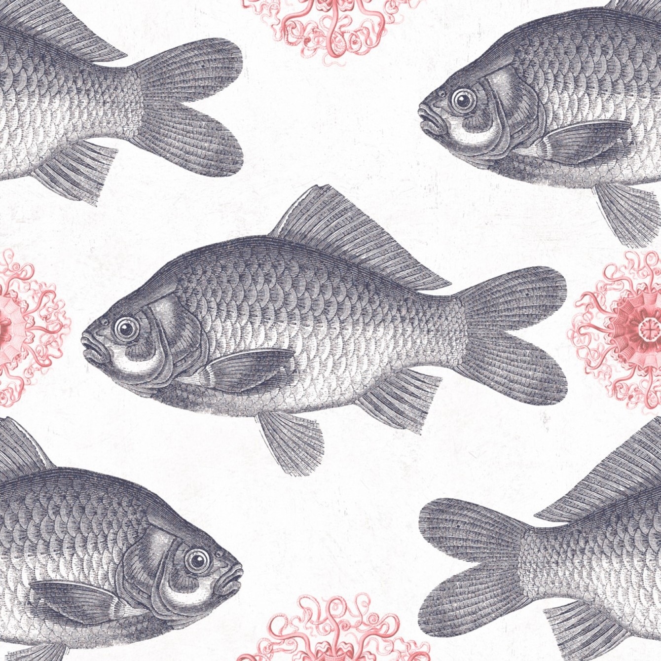 FISH TAPETA MIND THE GAP