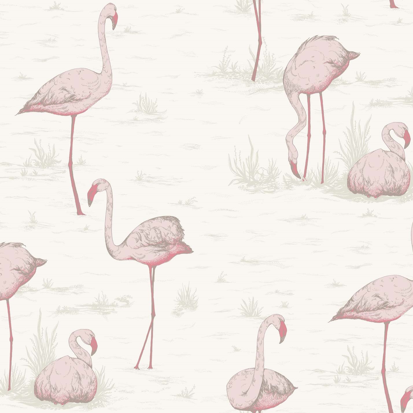 FLAMINGOS 95/8045 TAPETA COLE&SON