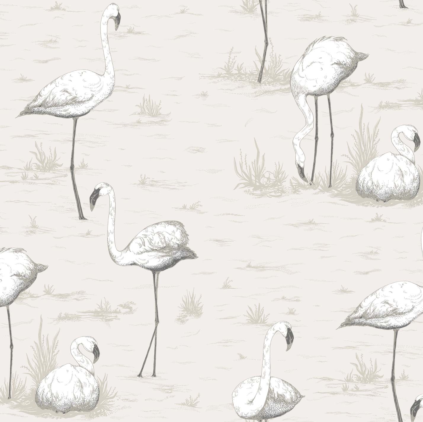 FLAMINGOS 95/8046 TAPETA COLE&SON