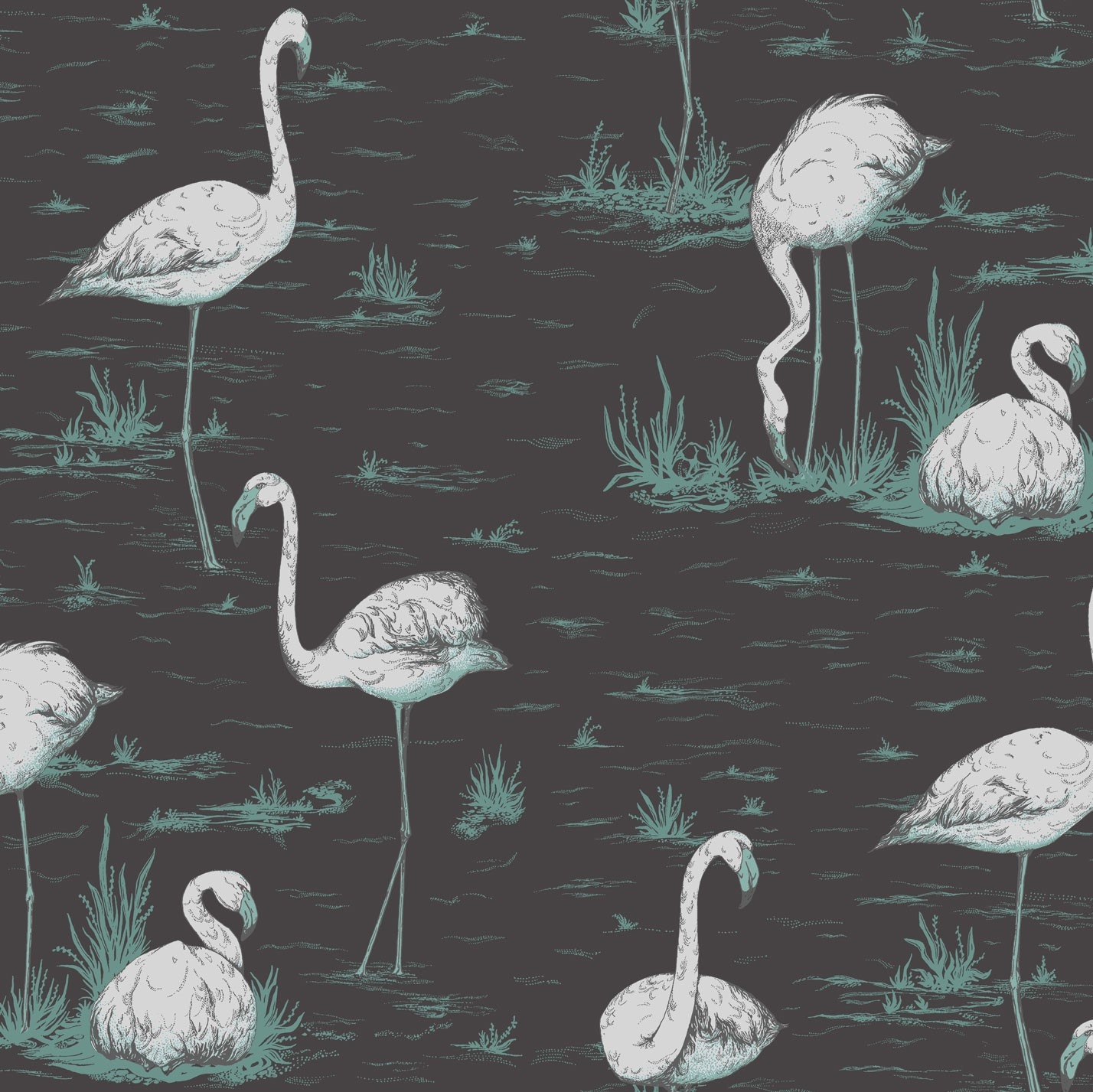 FLAMINGOS 95/8048 TAPETA COLE&SON