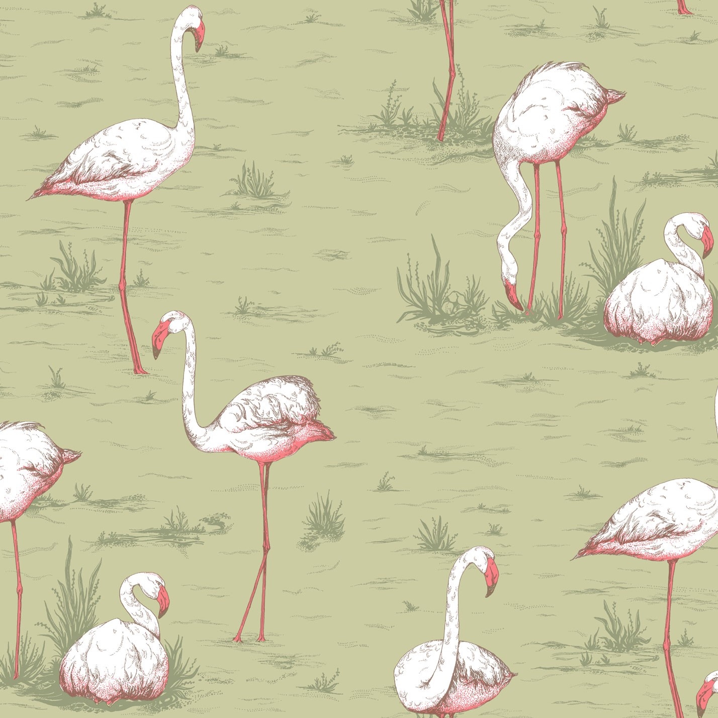 FLAMINGOS 112/11038 TAPETA COLE&SON