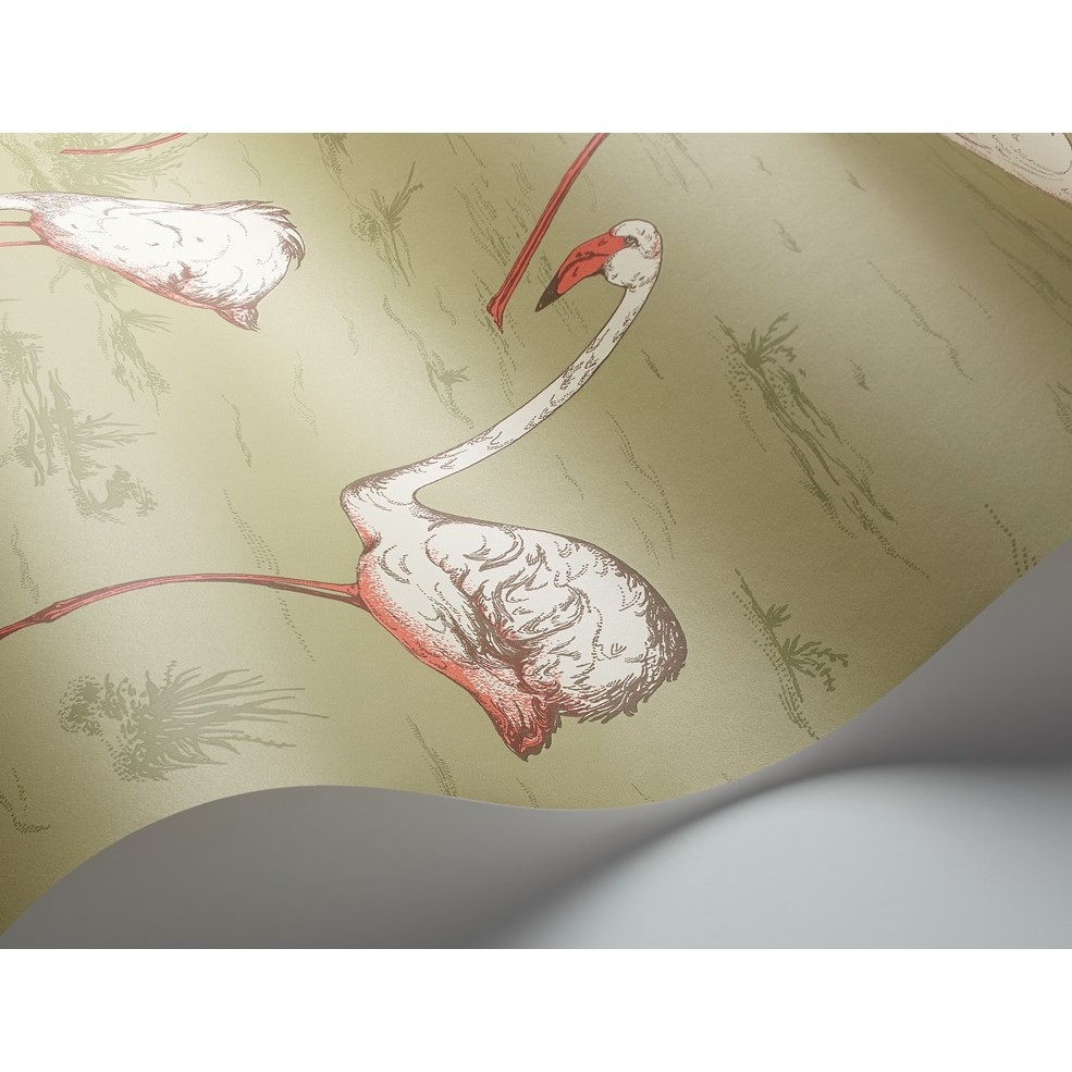 FLAMINGOS 112/11038 TAPETA COLE&SON