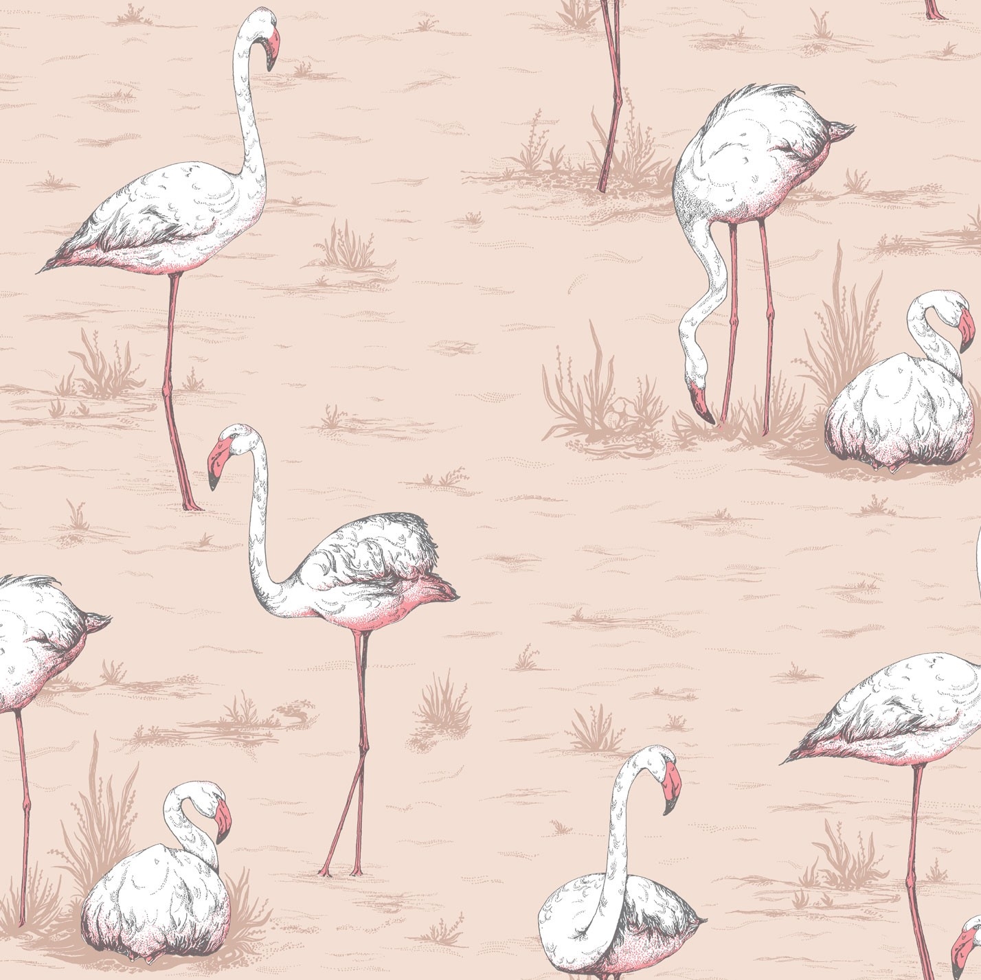 FLAMINGOS 112/11039 TAPETA COLE&SON