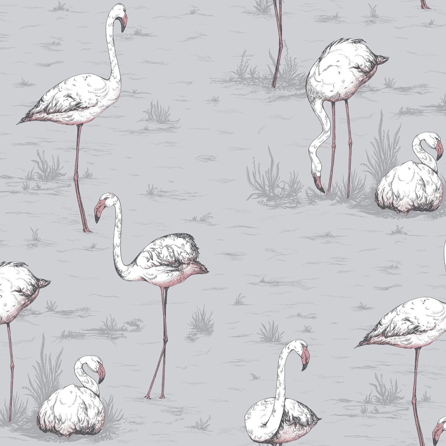FLAMINGOS 112/11040 TAPETA COLE&SON