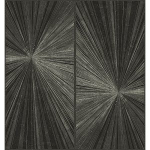 FLASH LINES WDFL1601