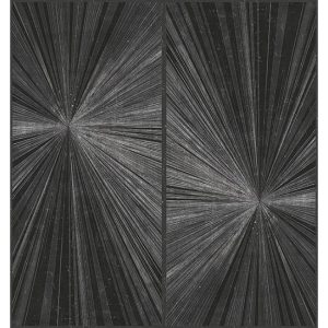 FLASH LINES WDFL1602