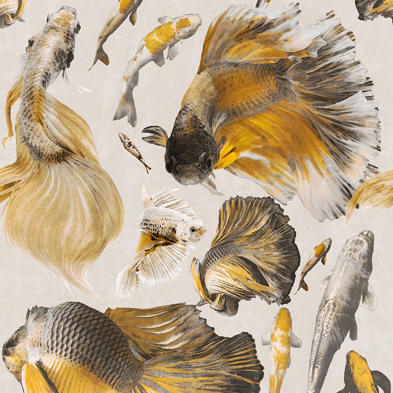 GOLDFISH IVORY