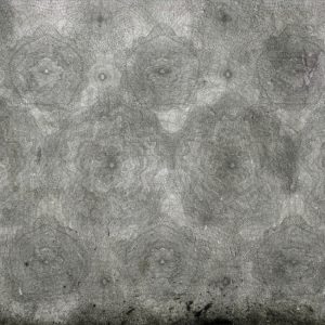 GPW1217 TAPETA WALL&DECO cover