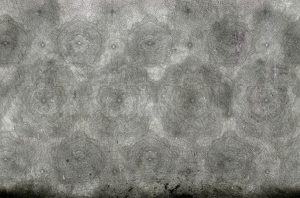GPW1217 TAPETA WALL&DECO