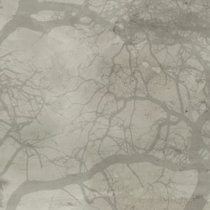 GPW1418 TAPETA WALL&DECO cover