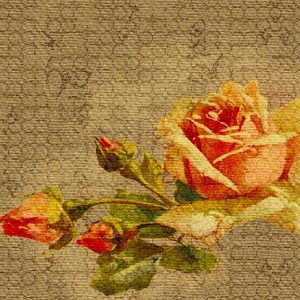GPW1438 TAPETA WALL&DECO cover