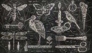 HERODIO TAPETA WALL&DECO WDHE1701