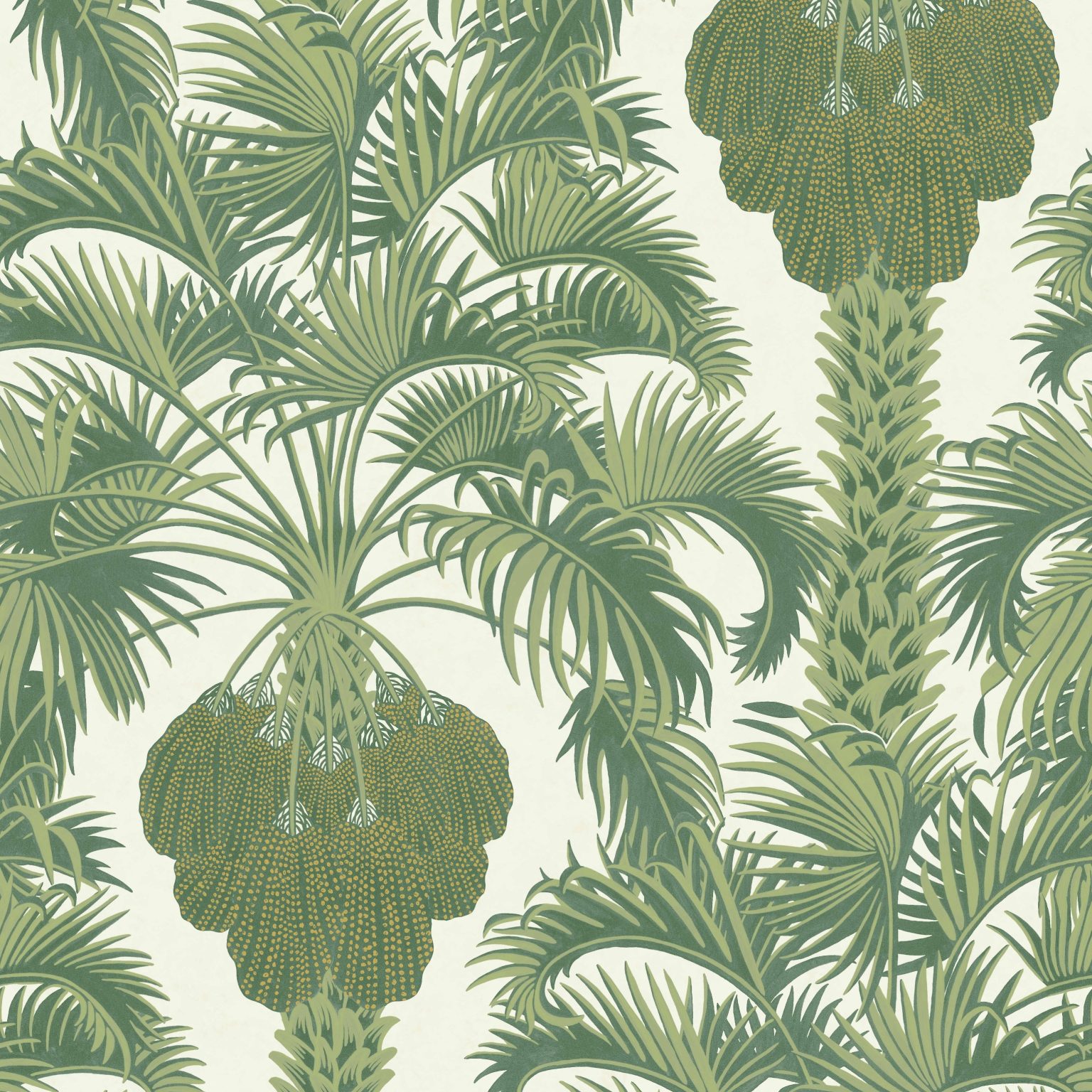 HOLLYWOD PALM 113/1004 COLE&SON