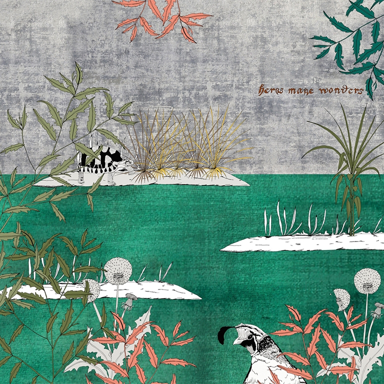 Hotspot WDHS2101