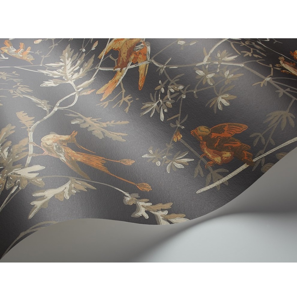 HUMMINGBIRDS 112/4017 TAPETA COLE&SON