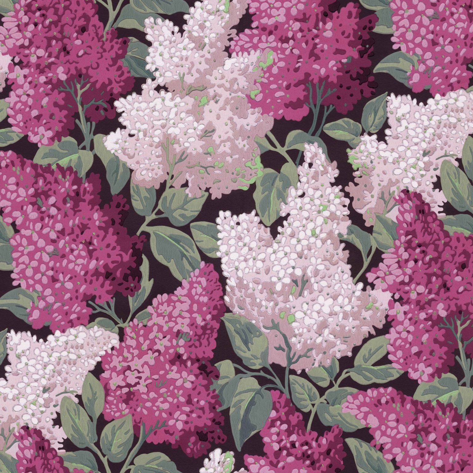 LILAC GRANDIFLORA115/15045