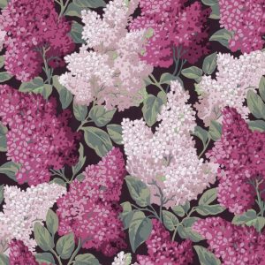 LILAC GRANDIFLORA115/15045