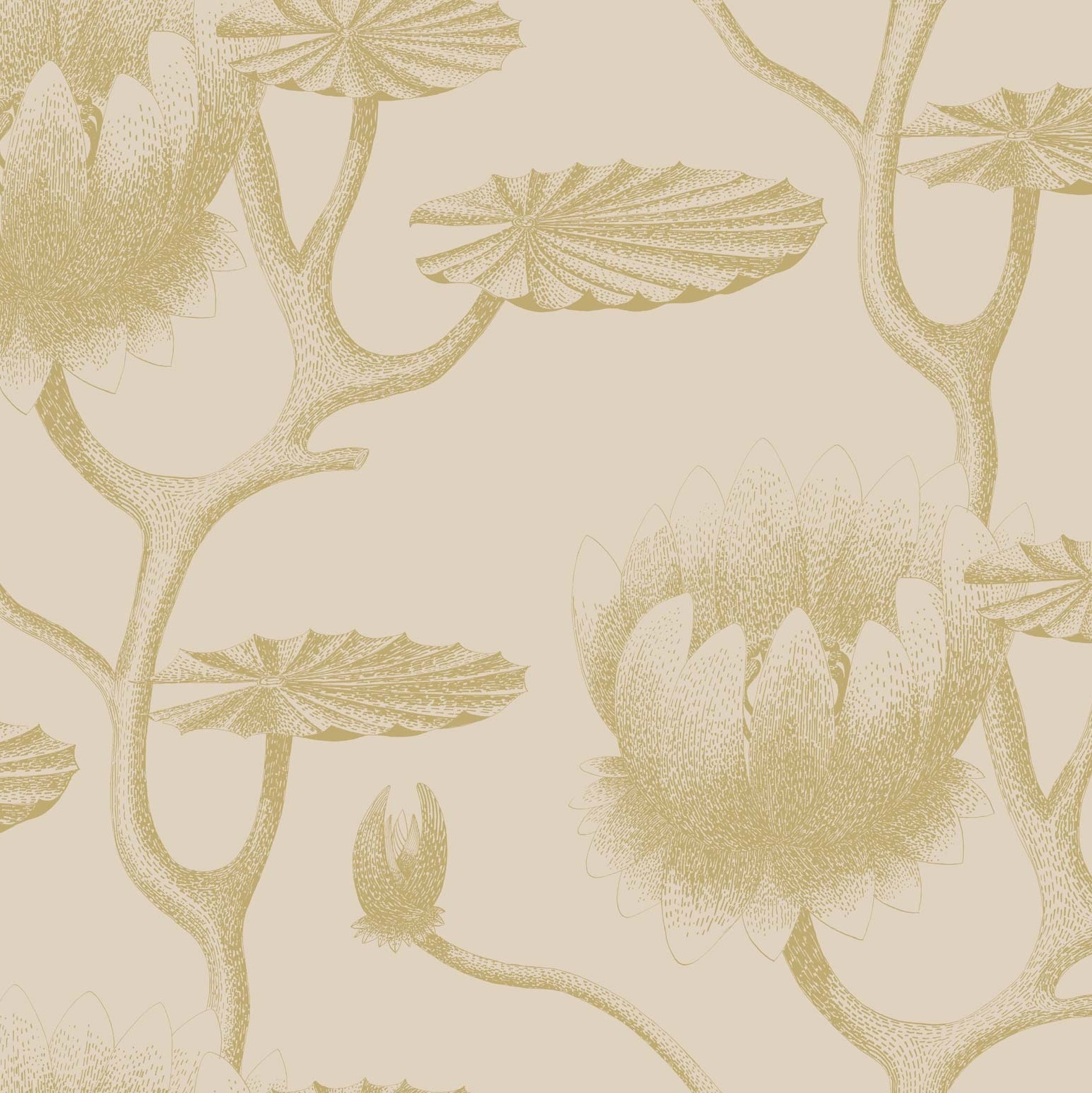 LILY 95/4019 TAPETA COLE&SON