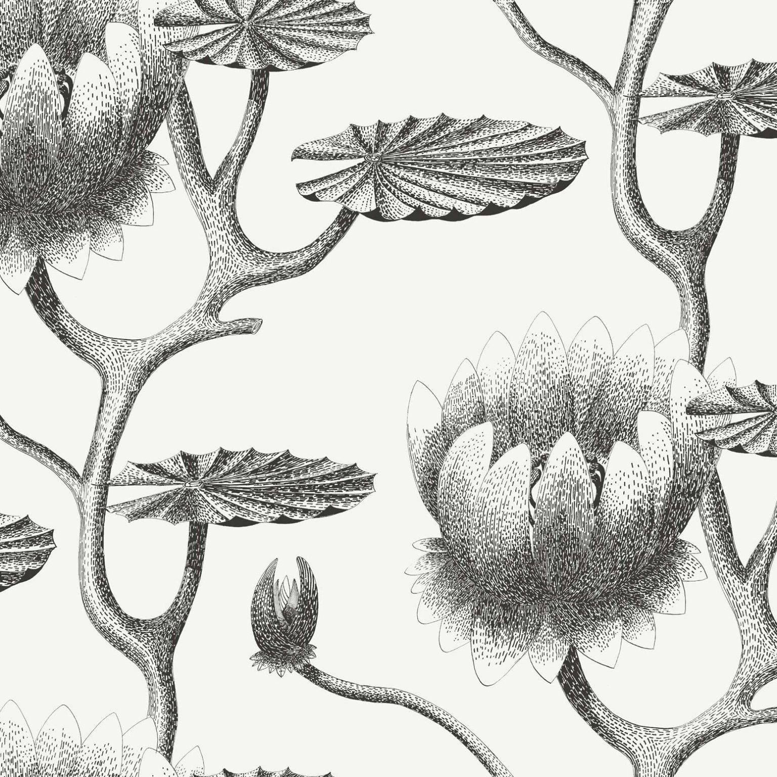 LILY 95/4020 TAPETA COLE&SON