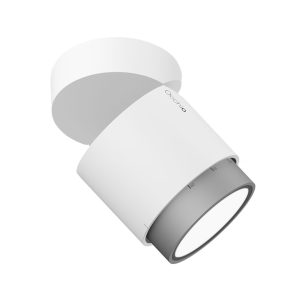 LUI VOLTO VOLT LAMPA SUFITOWA OCCHIO