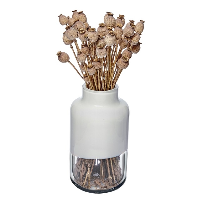 MAGNOLIA wazon NUDE GLASS