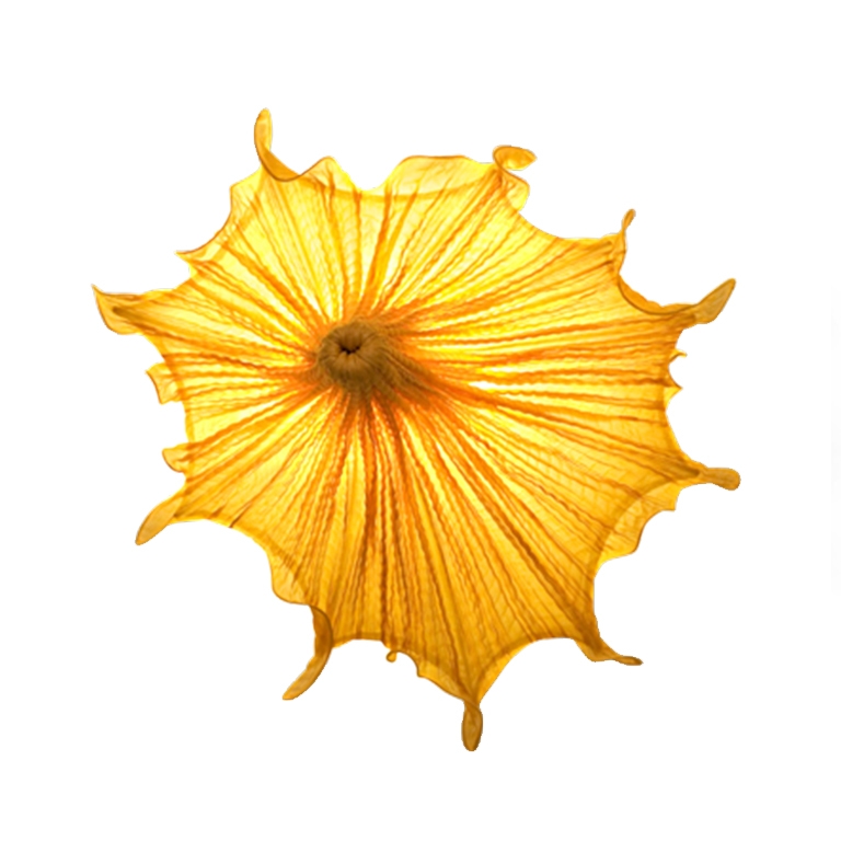 MEDUSA LAMPA AQUA CREATIONS