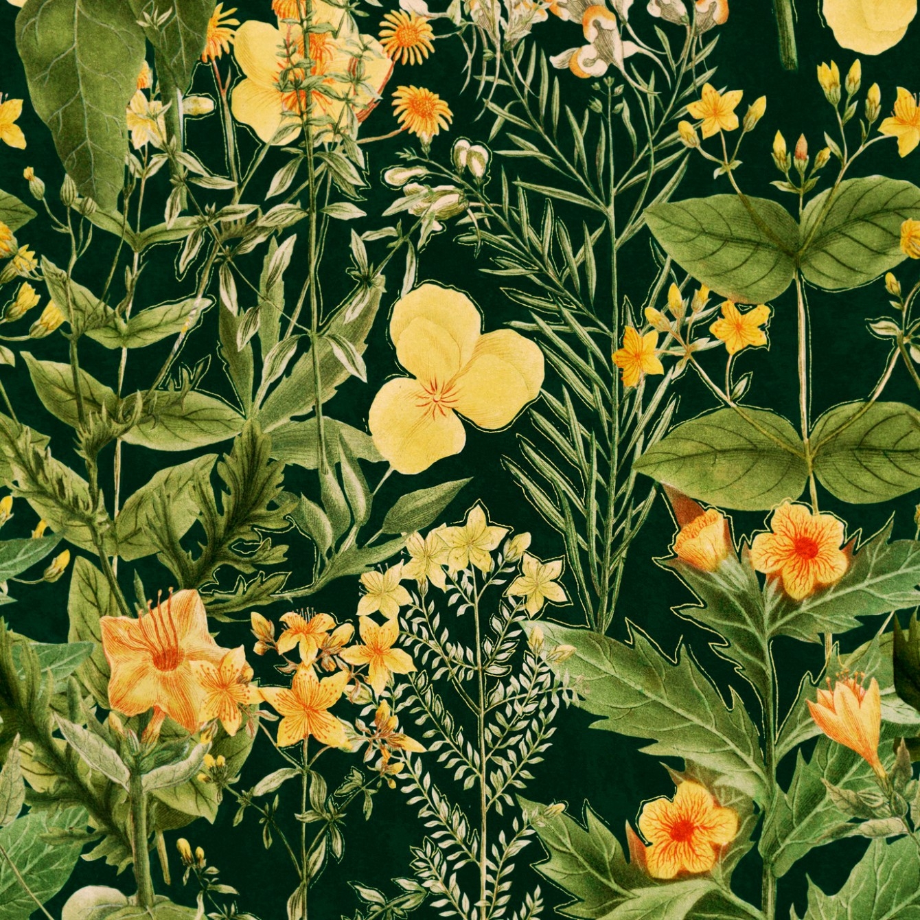 MIMULUS TAPETA MIND THE GAP