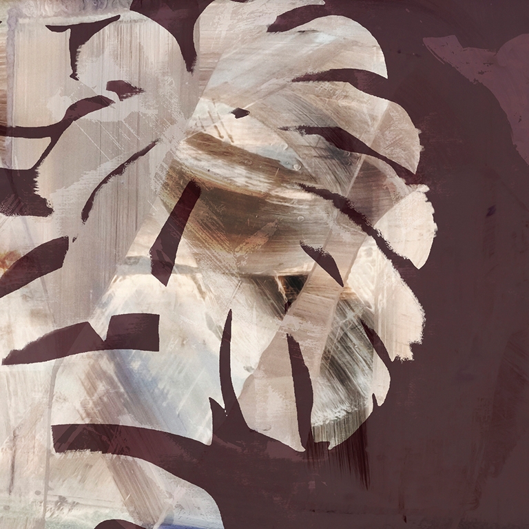 Monstera WDMN2102