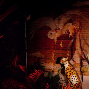 NEW DAWN TAPETA WALL&DECO