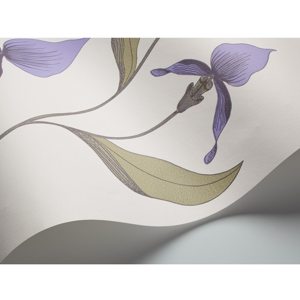 ORCHID 66/4024 TAPETA COLE&SON