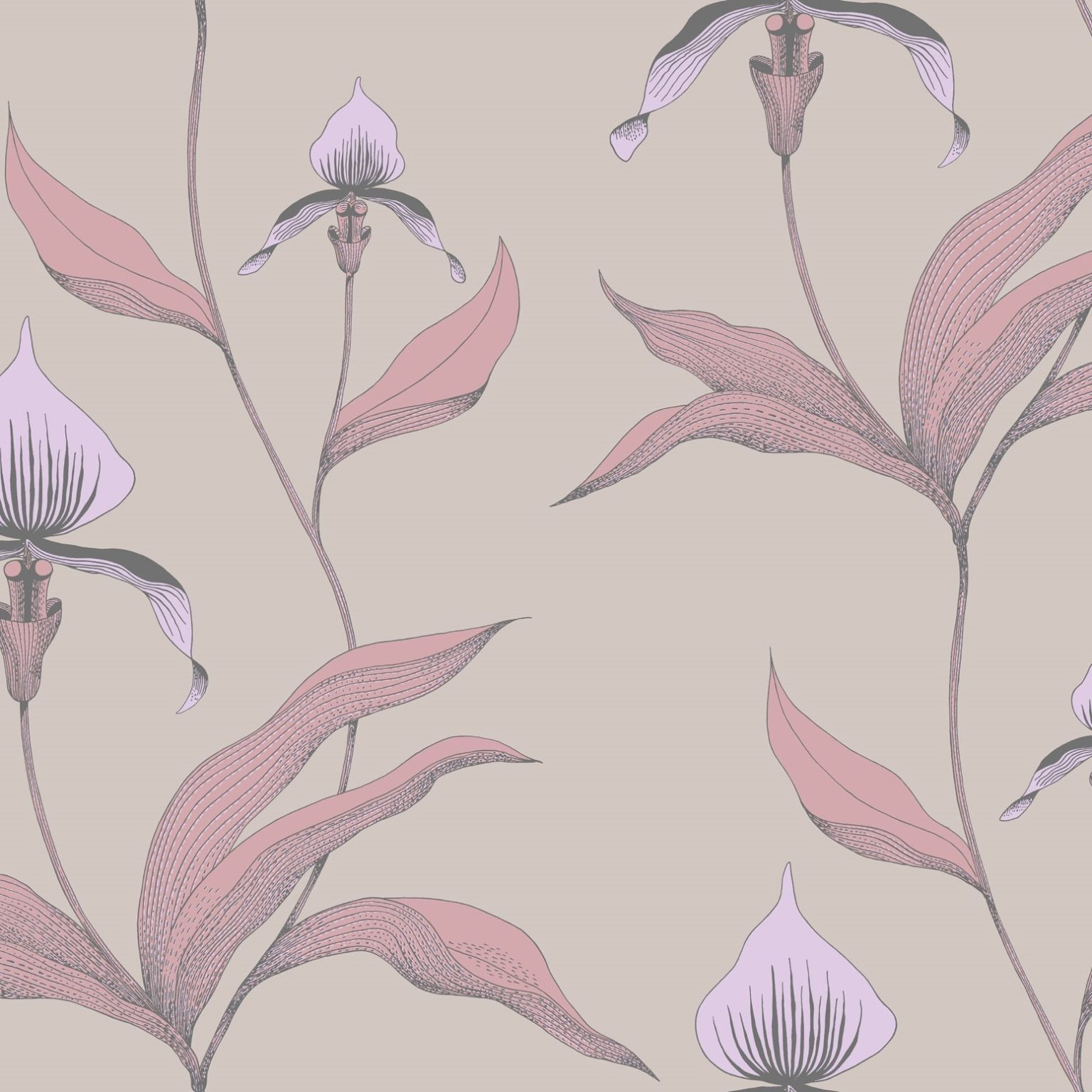 ORCHID 66/4025 TAPETA COLE&SON
