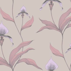 ORCHID 66/4025 TAPETA COLE&SON