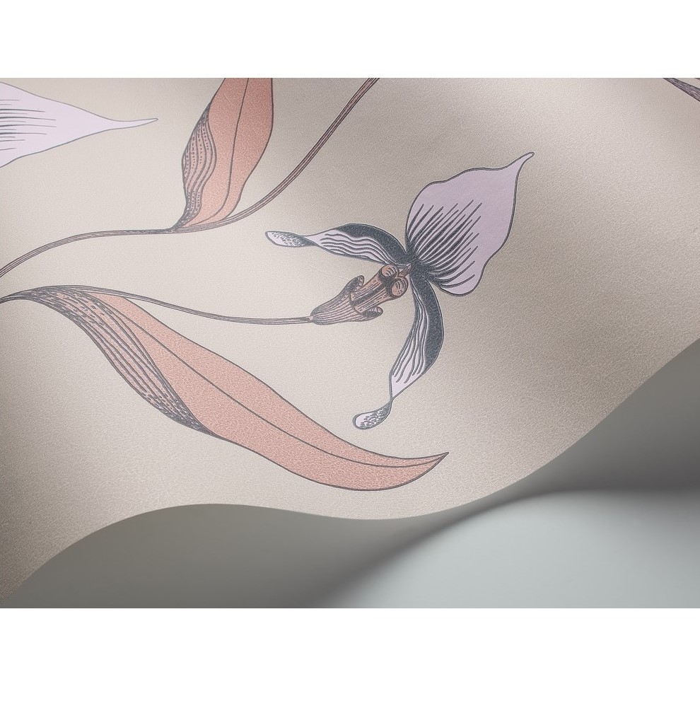 ORCHID 66/4025 TAPETA COLE&SON