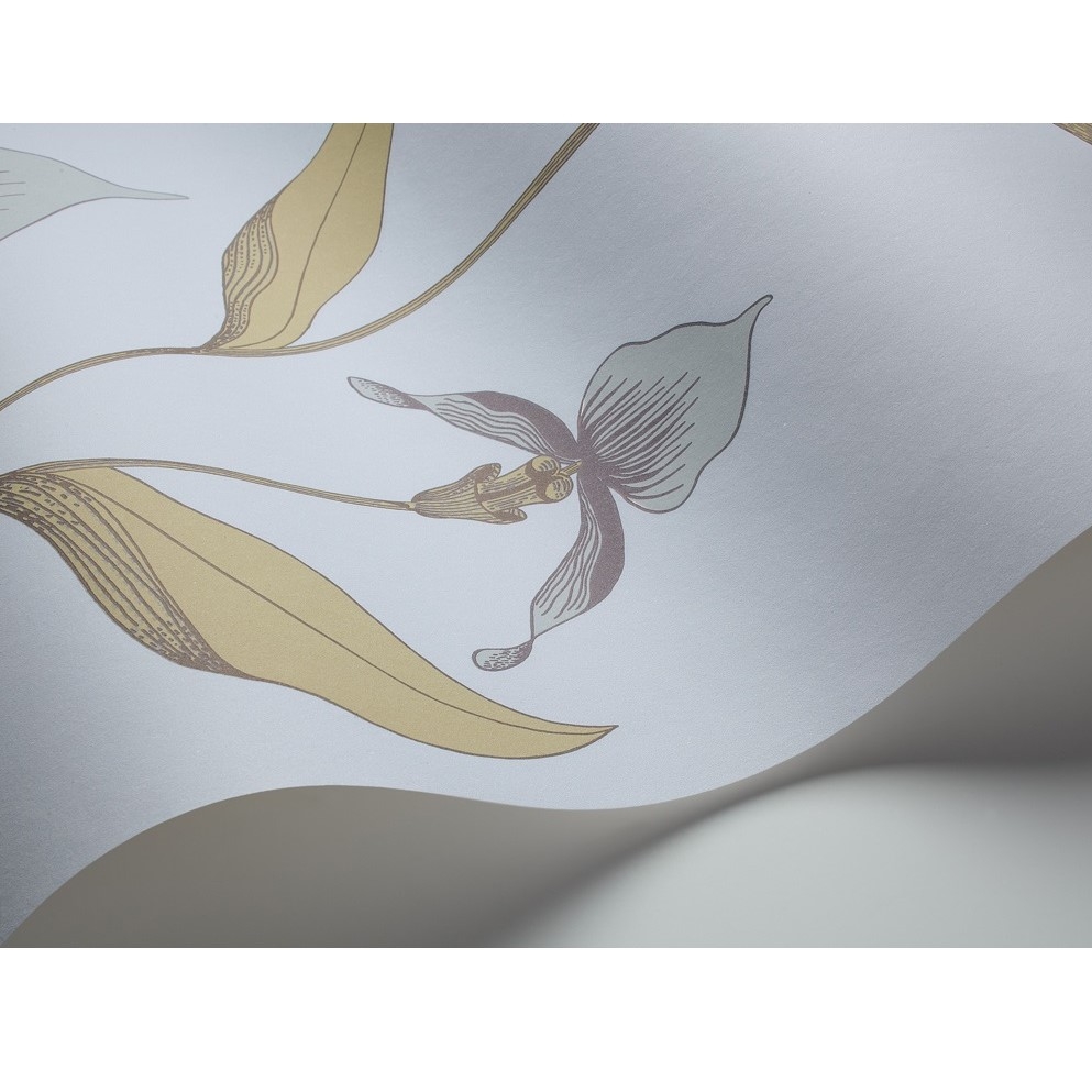 ORCHID 66/4026 TAPETA COLE&SON