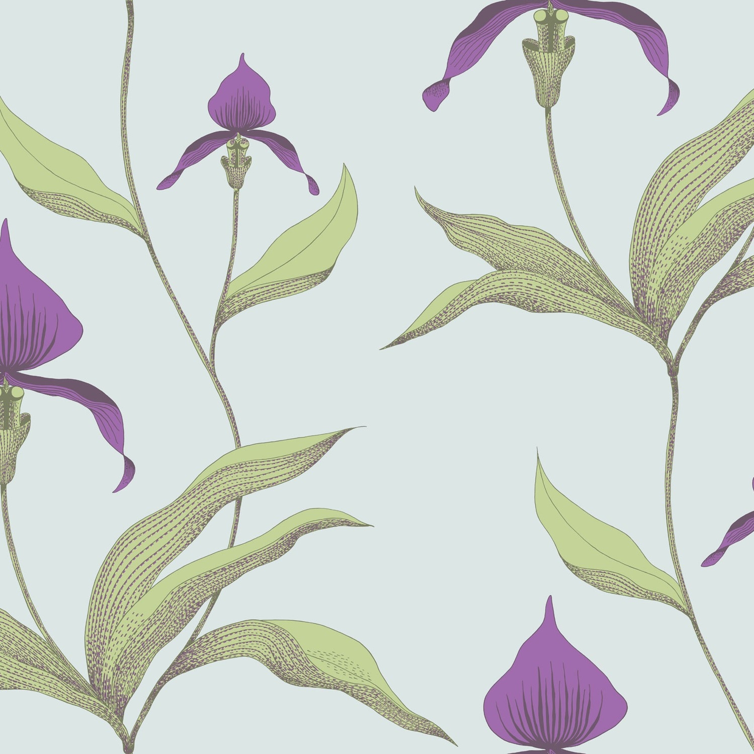 ORCHID 66/4027 TAPETA COLE&SON