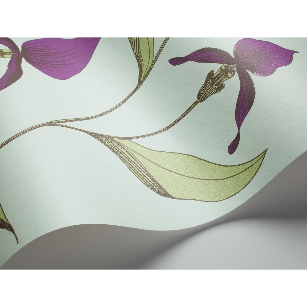 ORCHID 66/4027 TAPETA COLE&SON